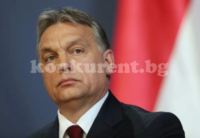 Орбан осинови носорог, търси му име  