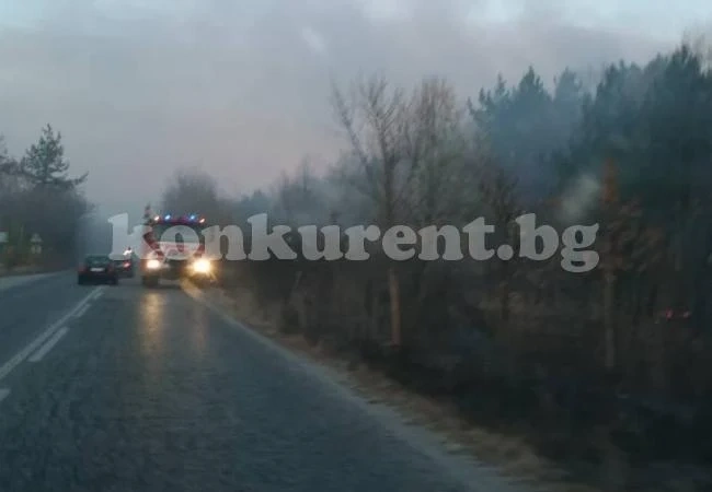 Голям пожар вилнее край гробището на Баница СНИМКИ