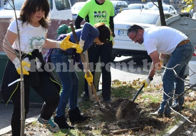 Още 375 ще добави ЧЕЗ Електро към броя на дърветата в инициативата WE DO GREN