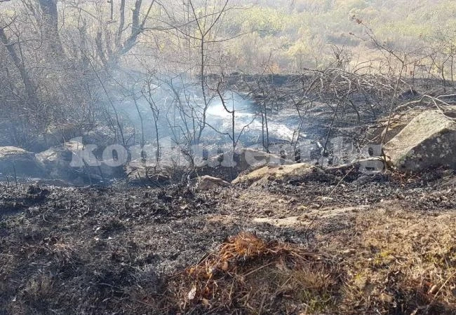Овладян е пожарът край Струпец СНИМКИ