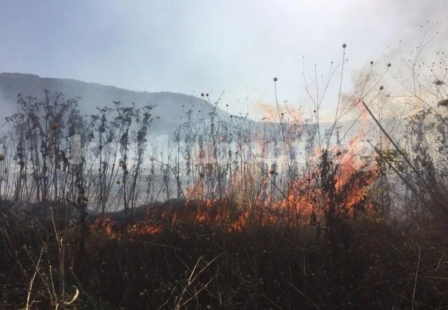 Голям пожар гори край врачанско село СНИМКИ