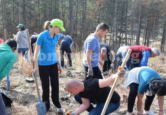 2 000 дървета засадиха 230 доброволци от ЧЕЗ върху 5 декара на мястото на опожарена гора