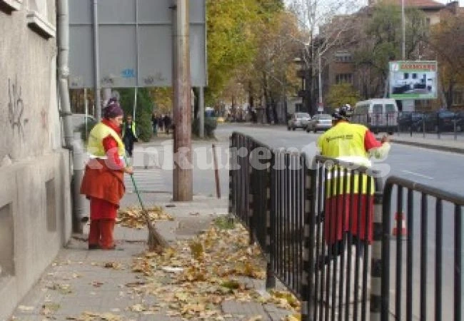 300 души на помощи ще чистят в Лом