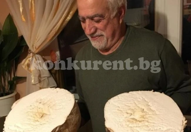 Мъж намери огромна 5,5 килограмова гъба