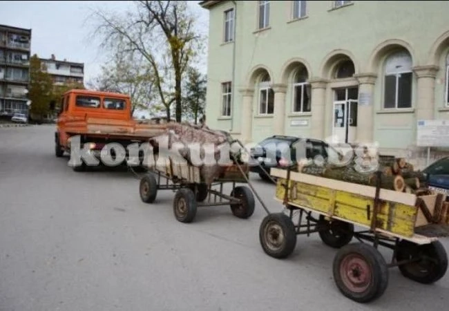 Горски иззеха незаконни дърва