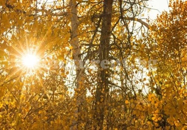 Днес облаците се разсейват, очаква ни предимно слънчево време