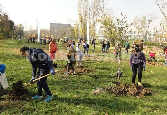 Доброволци засадиха нови 64 дървета в...