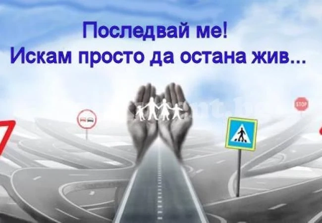 ПП ГЕРБ – Враца организира Форум по пътна безопасност