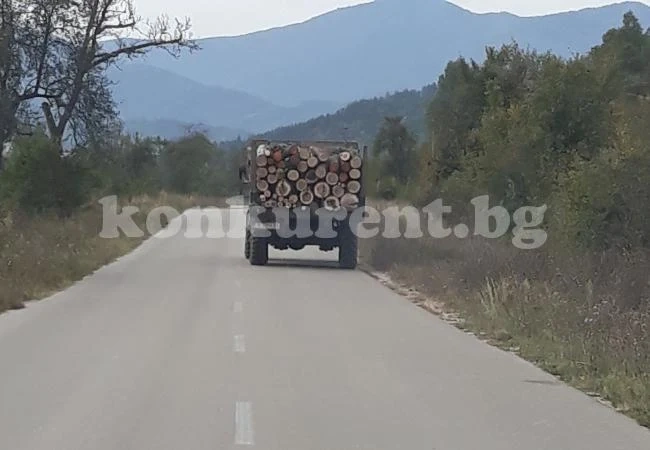 Сгащиха трима бракониери на дърва