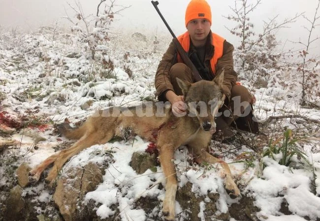 Кметски син уби вълк СНИМКА