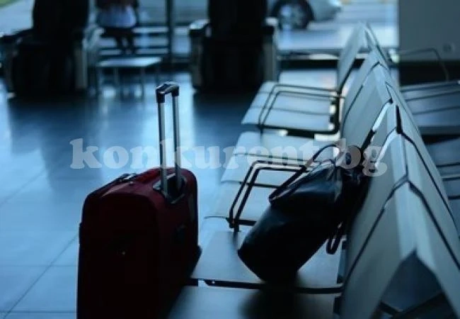 Проучване: Над половината от българите в чужбина обмислят да се върнат в родината