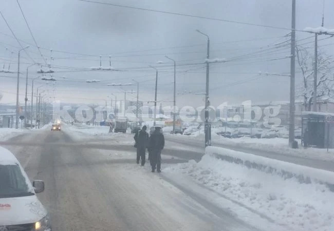 Вижте какво е да се пресичаш по врачански СНИМКА