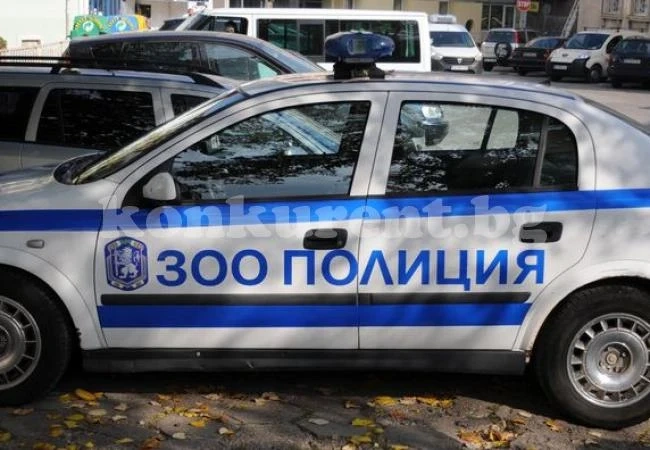 Неизвестен уби домашно куче