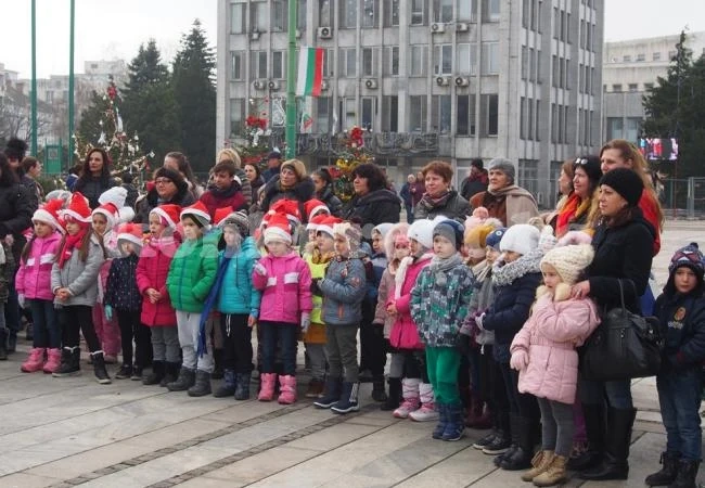 Алея на елхите подредиха в центъра на Видин