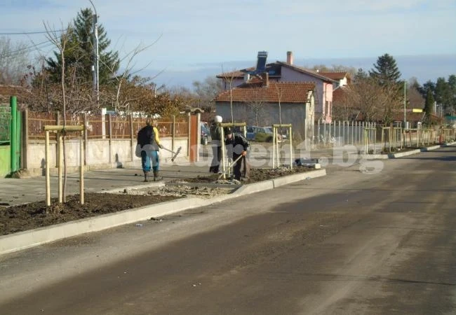 Приключва залесяването на трасета в Бяла Слатина СНИМКИ