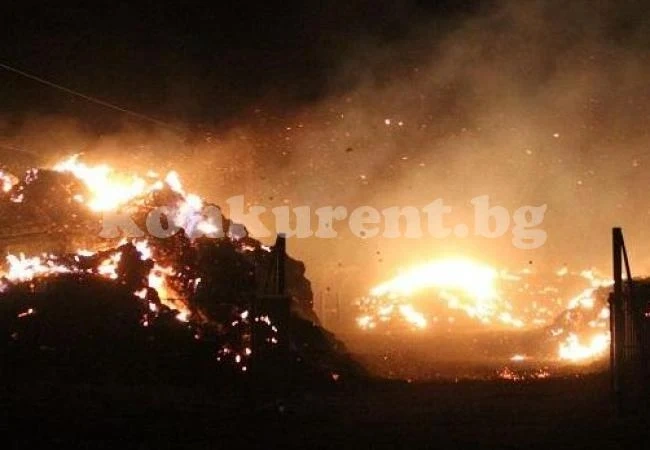 Огнена стихия погълна 1 300 бали с люцерна и грахово сено