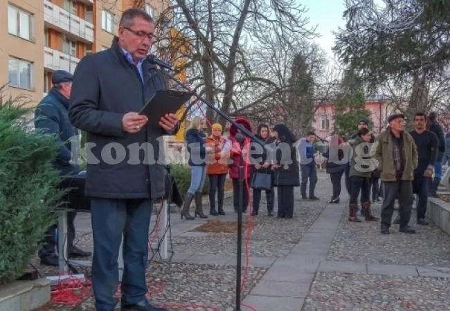 Светна и елхата в Роман
