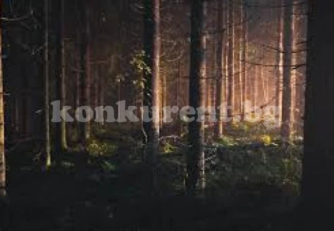 Загадъчно голямо създание с ярки червени очи бе заснето на ВИДЕО