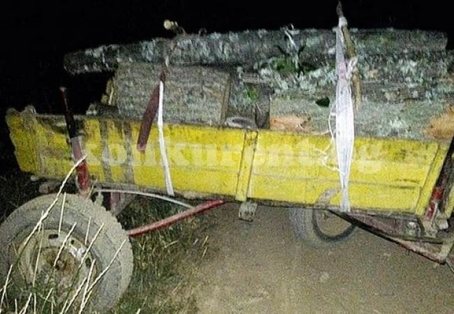 Засякоха каруца с немаркирани дърва