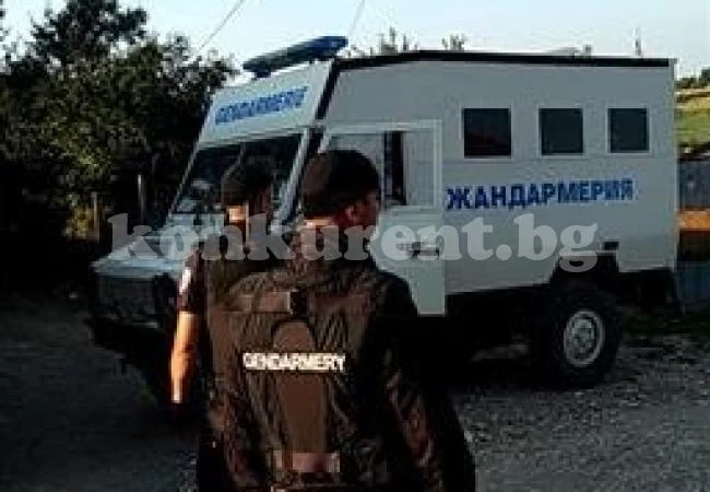 Жандармерия спря камион, пълен с незаконно отсечени дърва