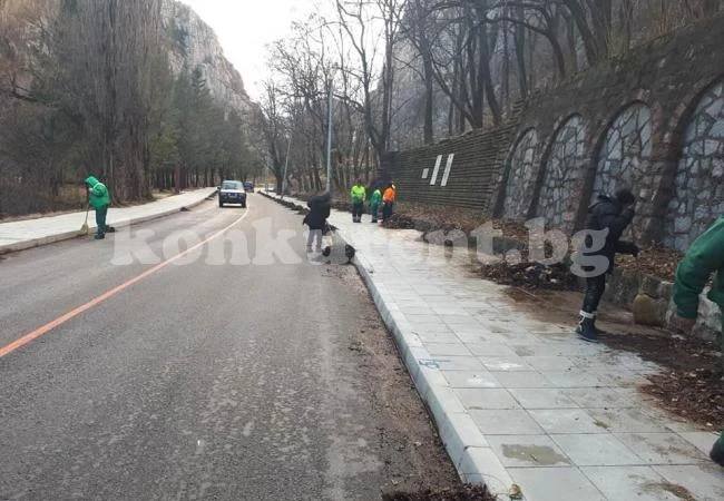 БКС с над 5 камиона изхвърлени отпадъци
