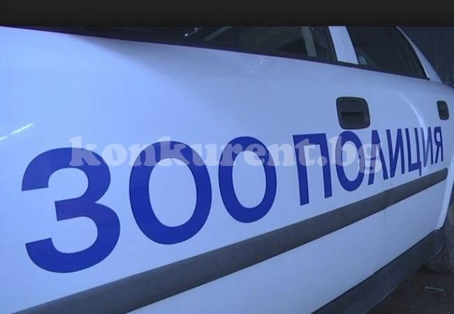 Отровиха куче в частен имот