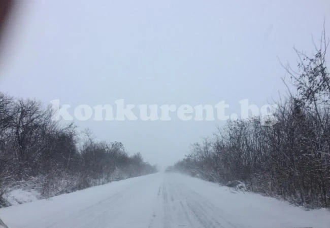 Внимавайте по пътя за Криводол (СНИМКИ)