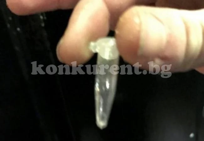 Не е за вярване какво се случи с коката на Острова