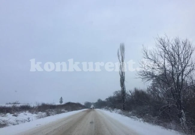 Внимавайте по пътя за Криводол – опасен е (СНИМКИ)