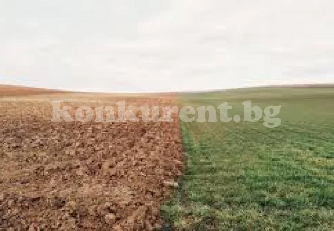 Търсят наематели на 38 общински имота