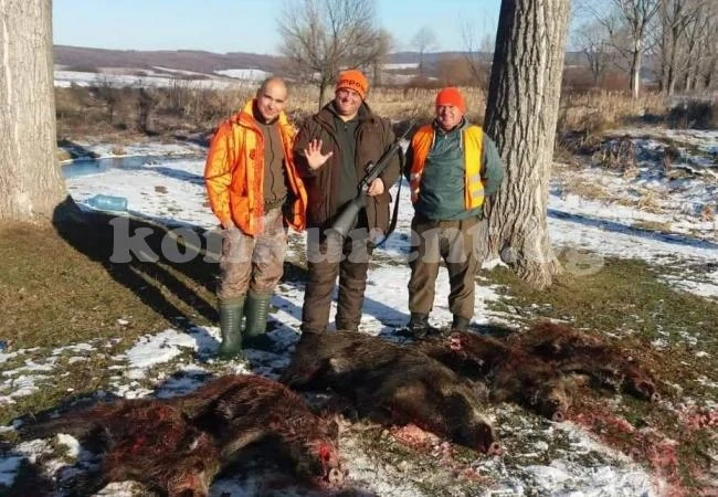 Ловец гътна сам 5 прасета край Голямо Пещене СНИМКИ