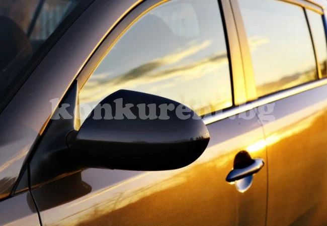 Мъж остави парче месо в колата си, върна се след 4 часа и намери... (СНИМКИ)
