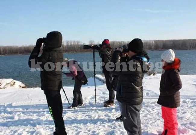 Броят птици по реки и язовири