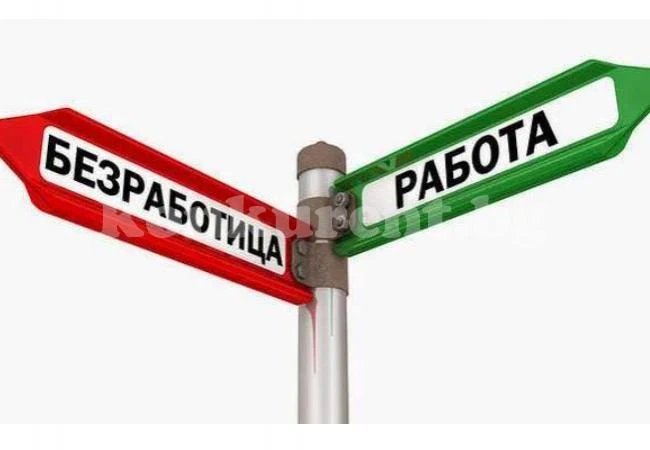 Расте броят на заетите в област Враца