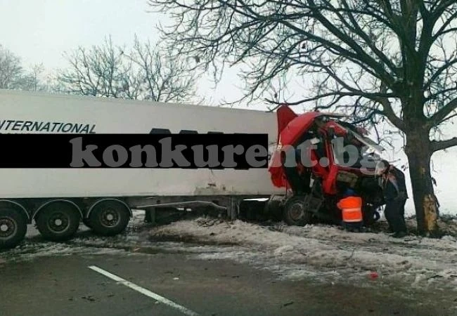 ТИР се заби в крайпътно дърво