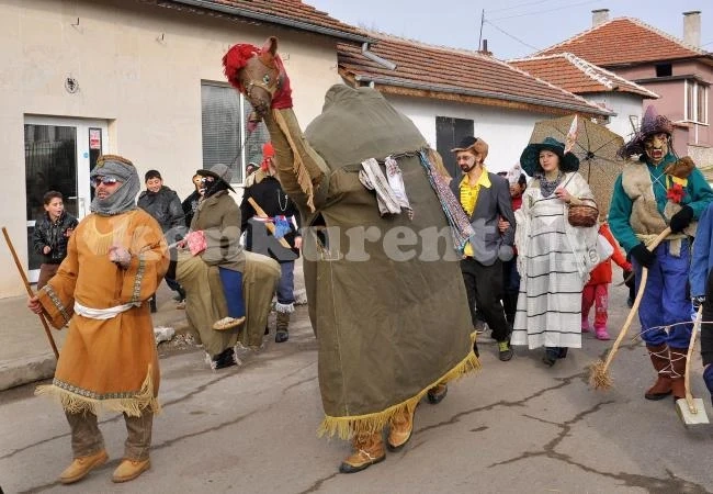 Камилата Василка от Габровница се състезава на „Сурва”