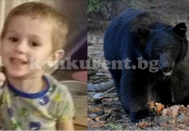 3-годишно оцеля само в гората и разказа: Спаси ме мечка (СНИМКИ)