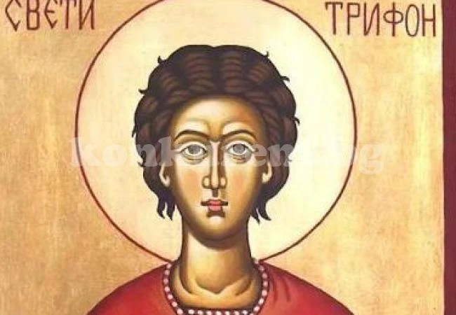Трифоновден е - традиции и обичаи