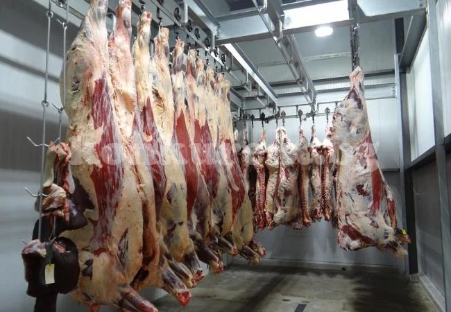 Евроинспектори проверяват Полша за износа на месо от болни крави