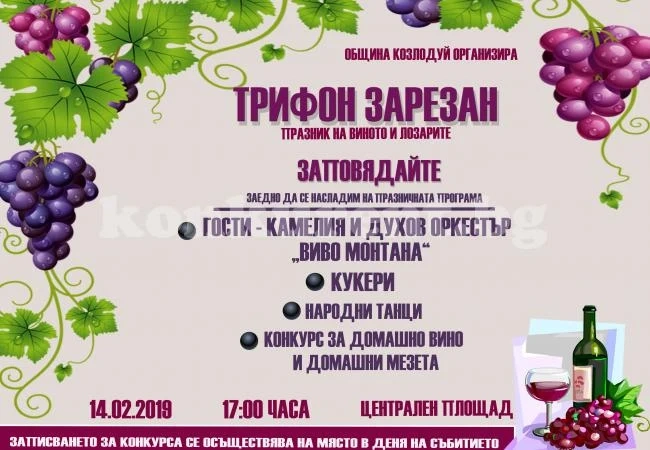 Камелия и Виво Монтана веселят Козлодуй на Трифон Зарезан