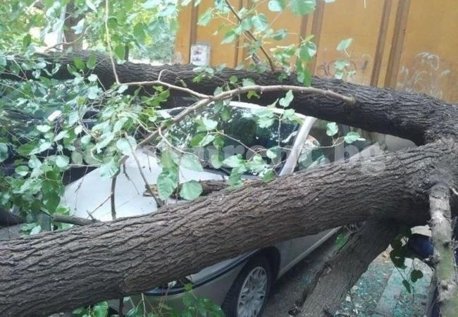 Вижте какви щети нанесе бурята във Видинско