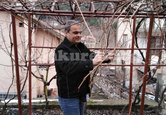 И войводите зарязаха лозите СНИМКИ