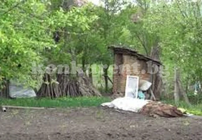 Васил, изхвърлил новородената си дъщеря в тоалетната, остава 17 години в затвора