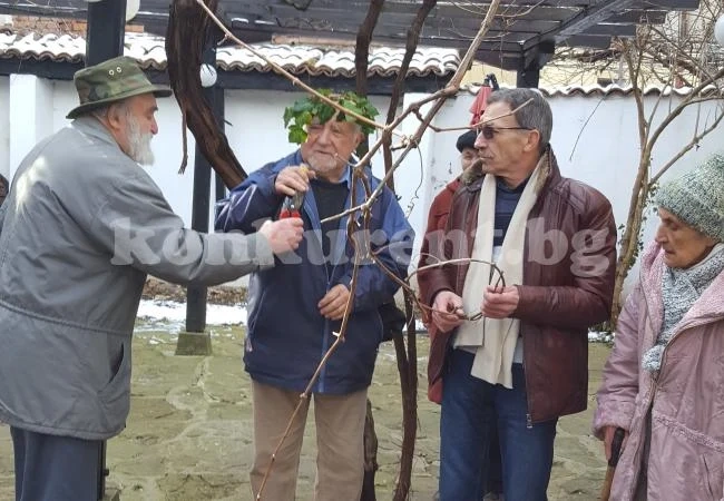В Клуба на културните дейци наблегнаха на любов и вино СНИМКИ