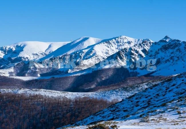 Цяла нощ издирваха изгубен турист в Родопите, откриха го невредим