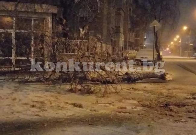 22-ама са измъкнати от преспите в Монтанско