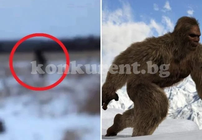 Млада двойка се приближи до Йети и го засне на ВИДЕО
