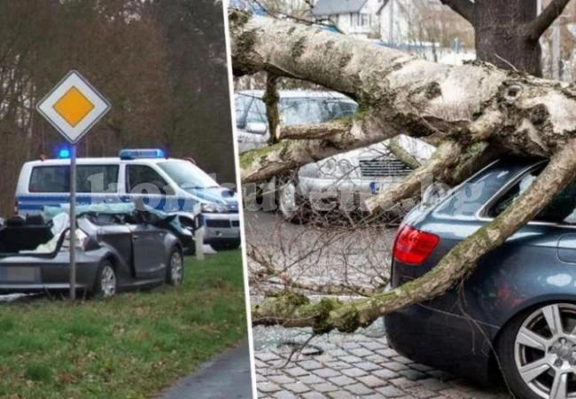 В Западна Европа е страшно!