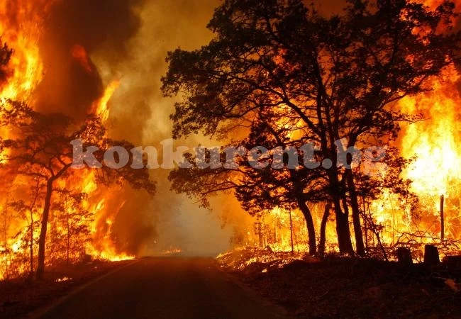Огнеборци потушиха големи пожари