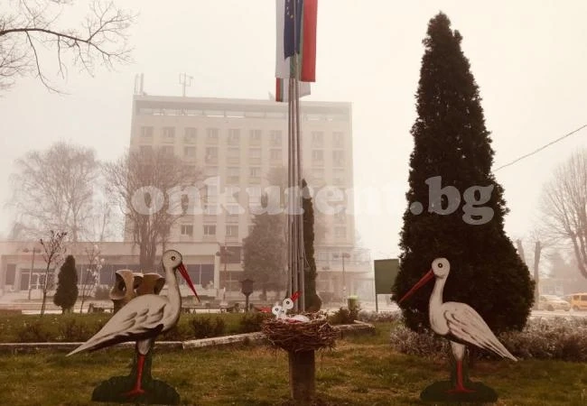 Щъркели дойдоха в Мездра за пролетта